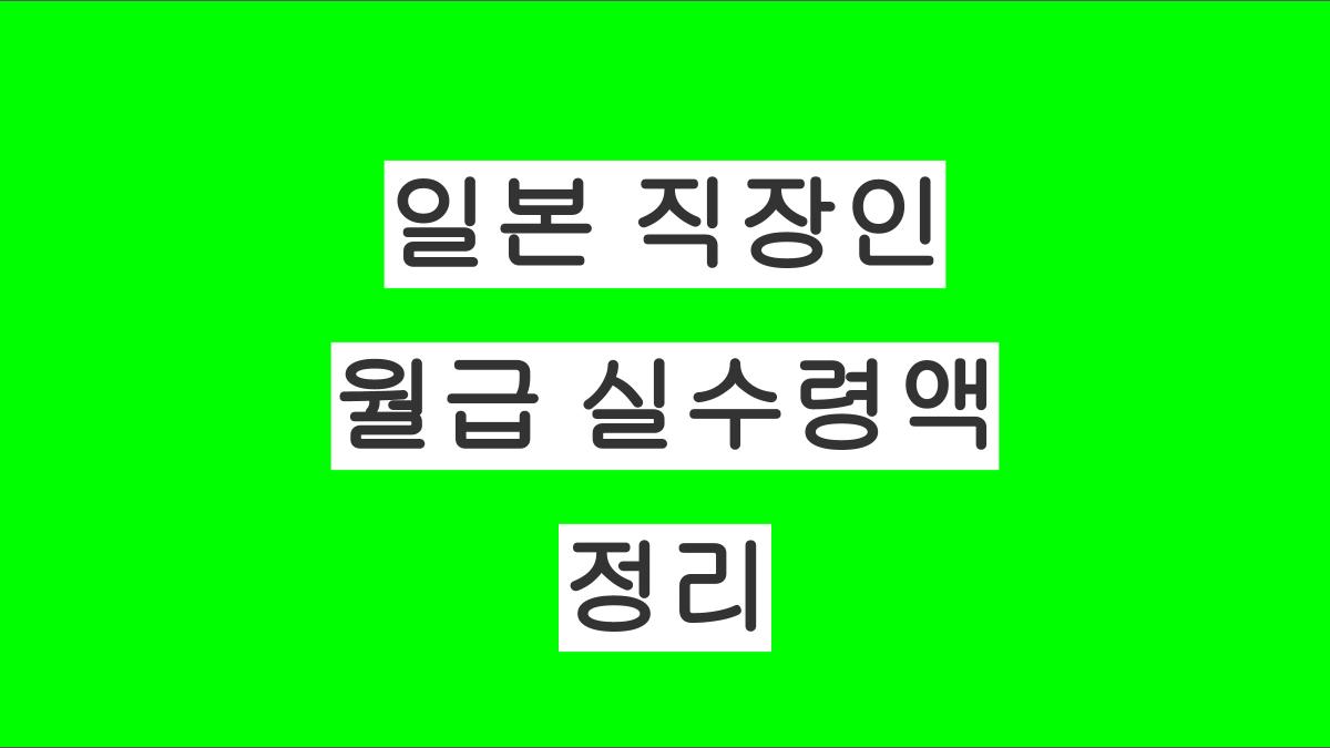 일본 직장인 세후 월급 실수령액 정리